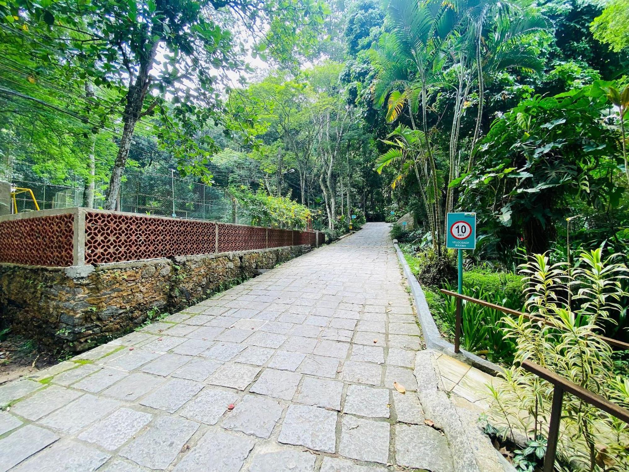 Sao Conrado - Natureza + 1 Ticket Ou Transfer Apartemen Rio de Janeiro