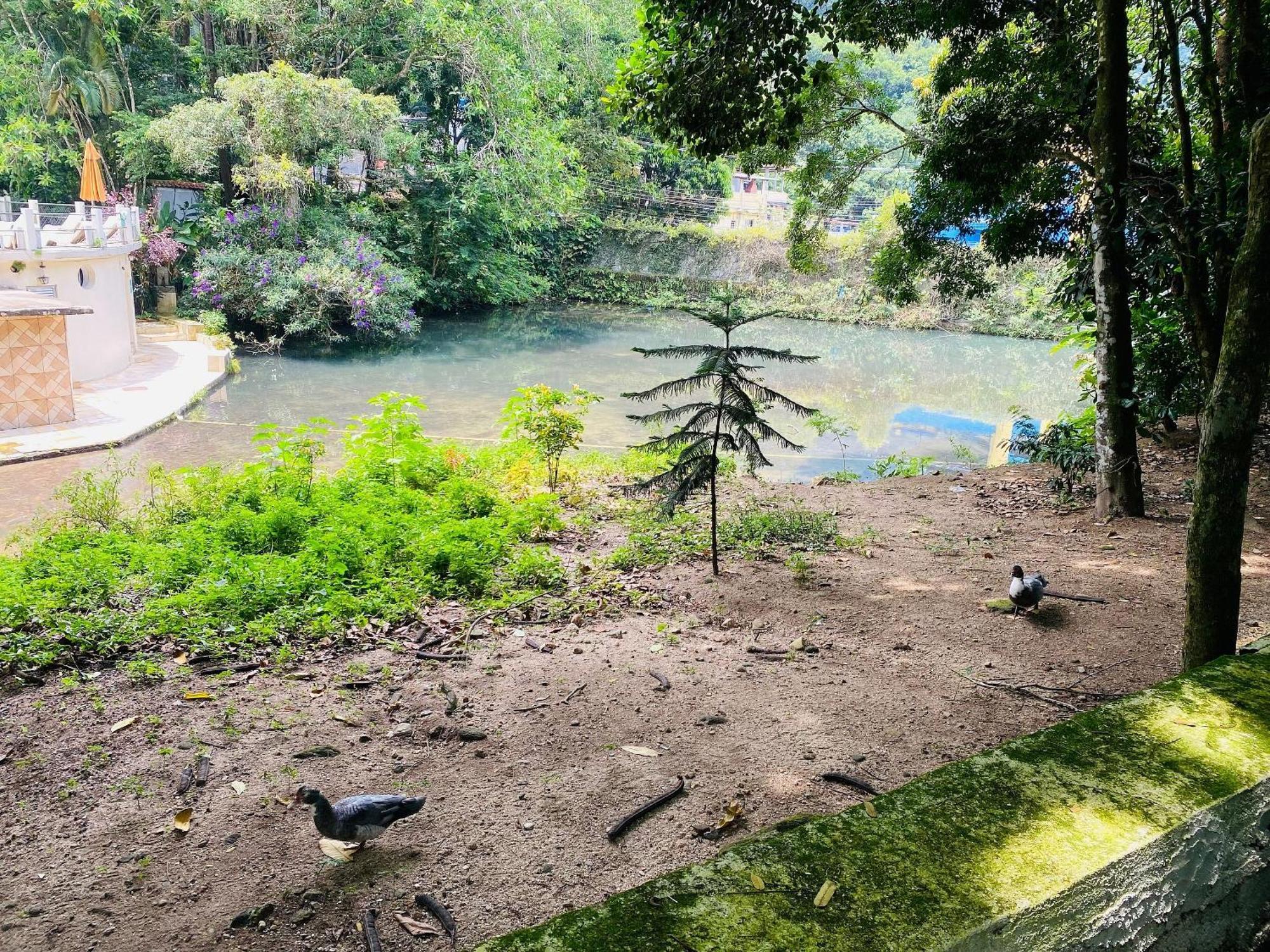Sao Conrado - Natureza + 1 Ticket Ou Transfer Apartemen *