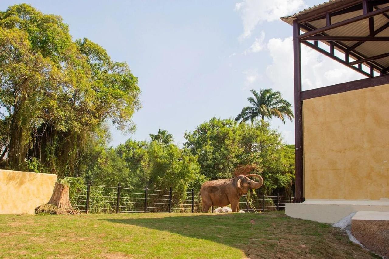 Apartemen Sao Conrado - Natureza + 1 Ticket Ou Transfer